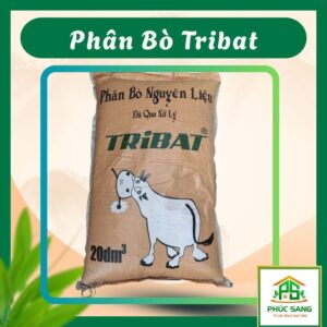 Phân Bò Tribat Đã Qua Sử Lý PSP11