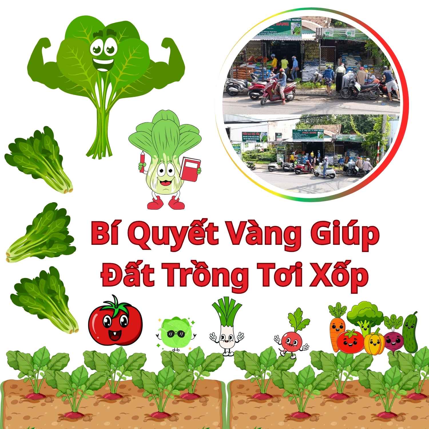 Bí Quyết Vàng Giúp Đất Trồng Tơi Xốp, Rễ Khỏe Cây Tốt Bội Phần