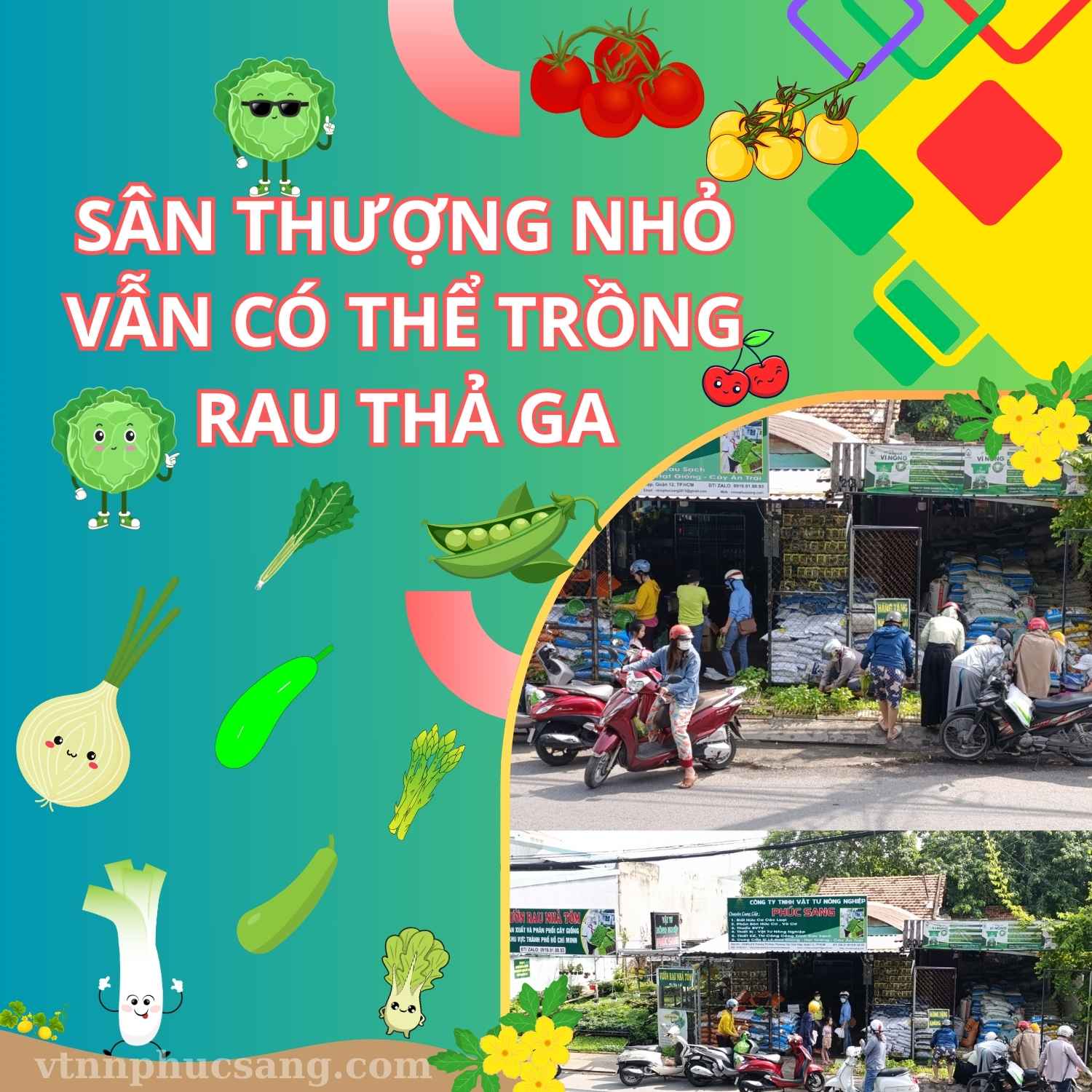 Sân thượng nhỏ vẫn có rau sạch ăn thả ga? Hoàn toàn có thể!