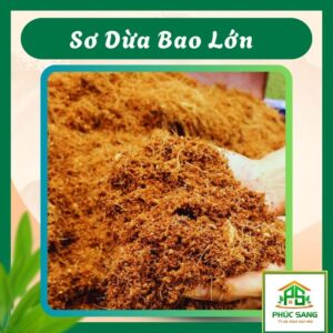 Sơ Dừa Bao Lớn