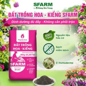 Đất trồng hoa SFARM