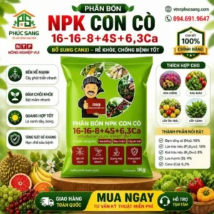 Phân NPK Con Cò 16-16-8+4S+6,3Ca giúp cải tạo đất, phát triển rễ khỏe, hạn chế vàng lá, tăng sức đề kháng và sinh trưởng ổn định.