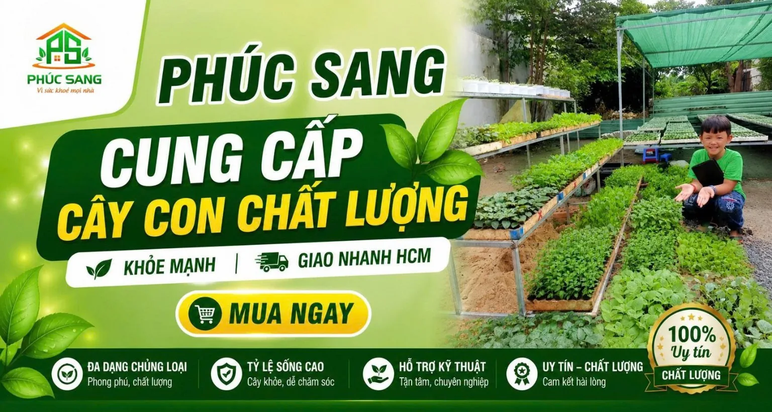 Phúc Sang chuyên cung cấp cây con chất lượng cao, cây giống khỏe mạnh, không sâu bệnh, tỷ lệ sống cao. Sản phẩm phù hợp trồng rau tại nhà, sân thượng hoặc sản xuất nông nghiệp. Giao hàng nhanh tại TP.HCM, hỗ trợ kỹ thuật tận tâm.