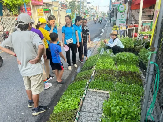 Hoạt động trao tặng 10.000 cây giống rau và 200 chậu cây dược liệu của Vườn Ươm Cây Giống Phúc Sang cho Chi hội Phụ nữ Khu phố 19, phường Tân Thới Hiệp nhằm gây quỹ thiện nguyện, hỗ trợ an sinh xã hội và hưởng ứng Ngày Môi trường Thế giới 2026.