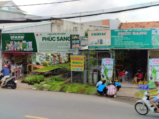 Hoạt động trao tặng 10.000 cây giống rau và 200 chậu cây dược liệu của Vườn Ươm Cây Giống Phúc Sang cho Chi hội Phụ nữ Khu phố 19, phường Tân Thới Hiệp nhằm gây quỹ thiện nguyện, hỗ trợ an sinh xã hội và hưởng ứng Ngày Môi trường Thế giới 2026.